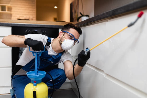 Professional Pest Control in Lewes, DE